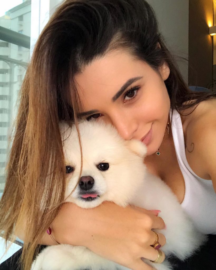 No Big Brother – Desafio Final, Bruna Gomes foi surpreendida com fotos dos seus cães. Um dos patudos, Pulga, foi oferecido pelo ex-namorado e está a fazer as delícias da internet!