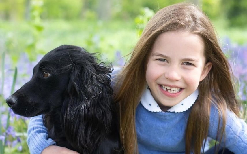 A princesa Charlotte completa esta segunda-feira, 2 de maio, sete anos de vida e William e Kate assinalaram o aniversário da filha com fotos nunca antes vistas da menina.