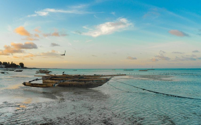 Zanzibar situa-se ao largo da costa da Tanzânia. Saiba onde e como pode passar umas férias paradisíacas.