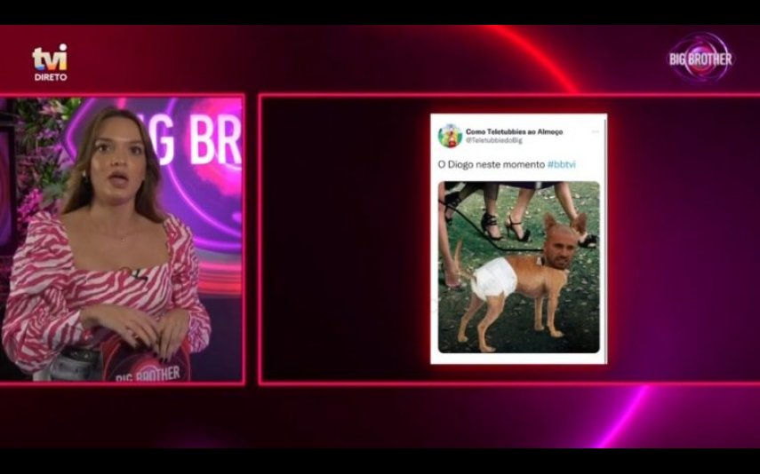 Um meme Diogo Marques no corpo de um cão a usar fraldas foi mostrado no Extra do Big Brother e os fãs ficaram indignados.