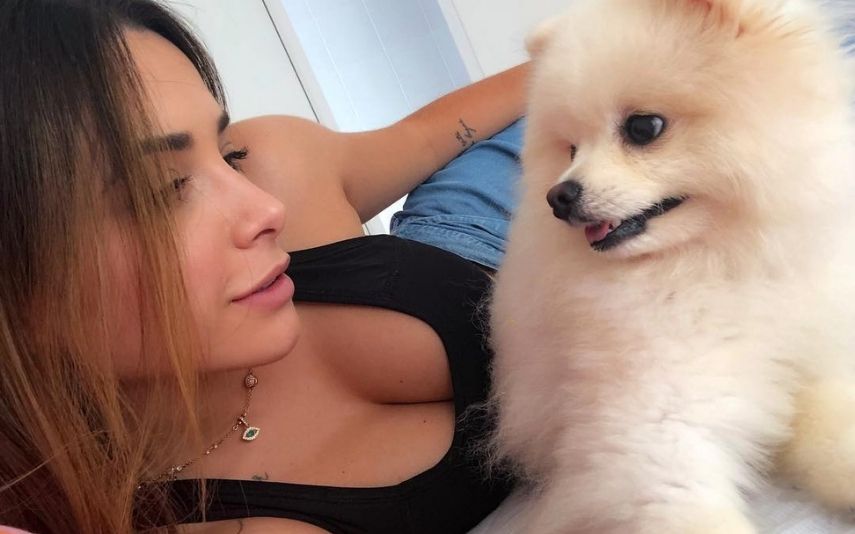 Bruna Gomes e Bernardo Sousa já voltaram ao Brasil, onde vão passar o Natal. Pulga, o cão de estimação do casal, mudou de visual e a dona orgulhosa mostrou aos seguidores.