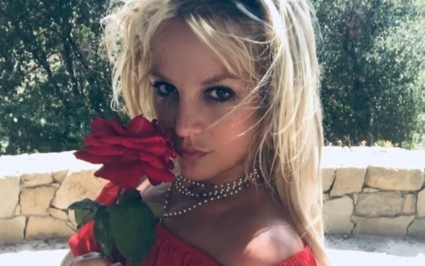 Os fãs de Britney Spears chamaram a polícia após pensarem que a artista estaria em perigo. Saiba o motivo!