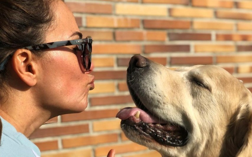 Cláudia Vieira recordou a morte de Yoshi, o seu 'cãopanheiro' e não segurou as lágrimas: "Tive a consciência de que as pessoas tinham noção do cão especial que ele era".
