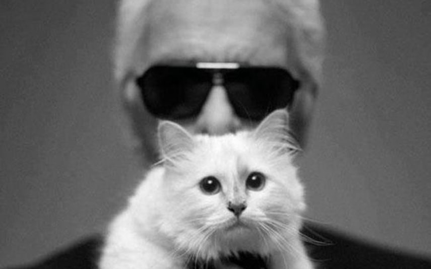 Karl Lagerfeld e Choupette